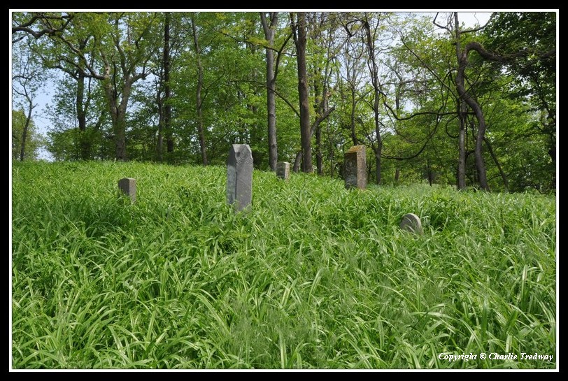 green cemetery